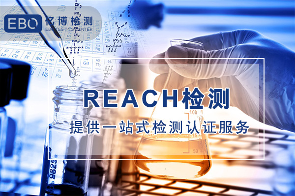 亚马逊REACH