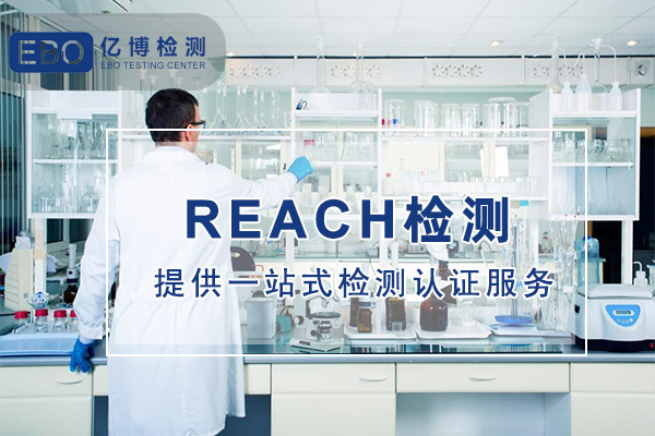 亚马逊REACH报告
