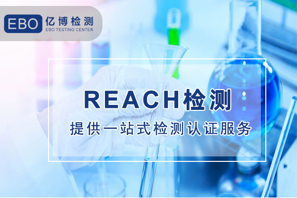 亚马逊REACH报告