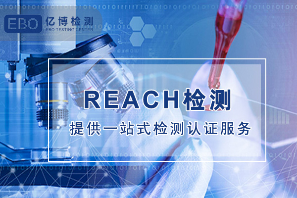 亚马逊REACH检测报告